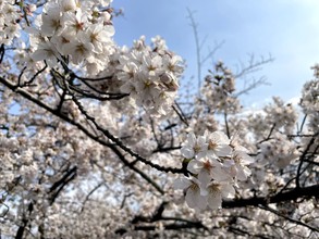 継続は力なり！料理を続けることで身に付く力とは？