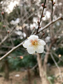 大寒の中で