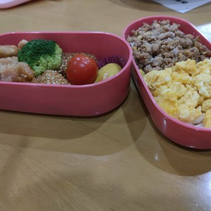 お弁当作りにチャレンジ！